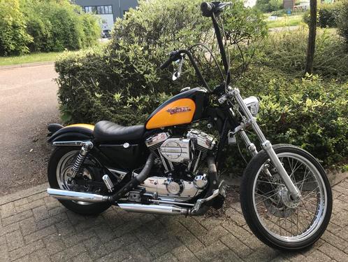 Harley Davidson 1200cc Custom 2000, Motos, Motos | Harley-Davidson, Particulier