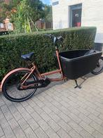 DOLLY bakfiets, 3 kinderen, Elektrisch, Zo goed als nieuw, Ophalen