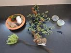 Kralenboompje "de druivenlaar" + nog extra kraaltjes, Ophalen of Verzenden, Zo goed als nieuw, Kraal