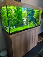 Aquarium Juwel 350 met kast, Ophalen, Zo goed als nieuw