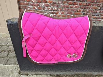 Dressuur dekje  beschikbaar voor biedingen