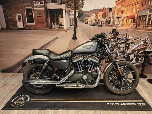 Harley-Davidson SPORTSTER XL883N IRON, Motos, Motos | Harley-Davidson, Entreprise, Autre, 2 cylindres