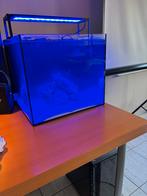 Waterbox cube 20 aquarium, Ophalen, Nieuw
