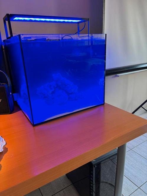 Waterbox cube 20 aquarium, Dieren en Toebehoren, Vissen | Aquaria en Toebehoren, Nieuw, Ophalen