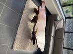 Salontafel, Huis en Inrichting, Tafels | Salontafels, Ophalen, Gebruikt, Overige vormen