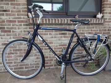 Herenfiets batavus in nieuwstaat (grote framemaat (61), Fietsen en Brommers, Fietsen | Heren | Herenfietsen, Ophalen, Zo goed als nieuw