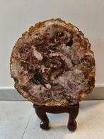 Boomfossiel uit Madagscar (mét massief houten voet), Verzamelen, Ophalen, Fossiel