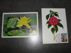 2 Postkaarten van Gentse Floralien uit 1970 met postzegels., Ophalen of Verzenden, Gestempeld, Overige thema's