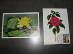 2 cartes postales de Gand Floralien de 1970 avec timbres., Enlèvement ou Envoi, Affranchi, Autres thèmes