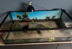 Aquarium / terrarium + toebehoren, Dieren en Toebehoren, Ophalen, Zo goed als nieuw, Terrarium of Paludarium