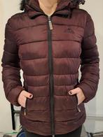 Winterjas Dames Superdry, Vêtements | Femmes, Vestes | Hiver, Comme neuf, Taille 36 (S), Superdry, Enlèvement