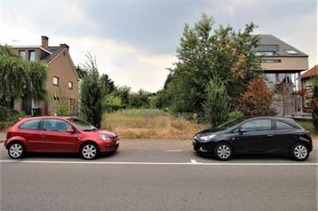 GRATIS hout kappen in Wezembeek beschikbaar voor biedingen