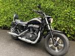Harley Davidson-SPORTSTER 1200, 1200 cm³, Plus de 35 kW, Chopper, Entreprise