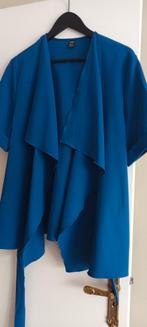 Nieuwe ensemble vest en broek, Kleding | Dames, Jasjes, Kostuums en Pakken, Nieuw, Blauw, Ophalen of Verzenden