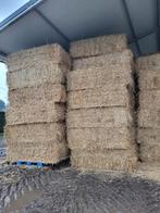 Tarwe stro en voordroog hooi