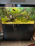 Aquarium, Dieren en Toebehoren, Ophalen, Zo goed als nieuw