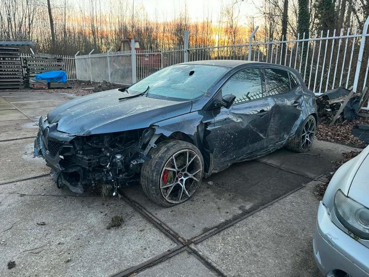 Megane 4 RS300 Trophy (Total-los), Auto's, Renault, Particulier, Ophalen