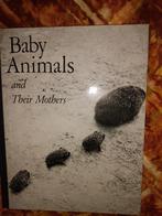 Babydieren en hun moeders, Ophalen, Zo goed als nieuw, Hanns and Eugen Skasa-Wei, Plaatjesalbum
