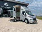 Fiat 2016  paardencamionette >>17.116km!<< paardenwagen, Ophalen, Zo goed als nieuw