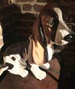 Hond, Ophalen of Verzenden