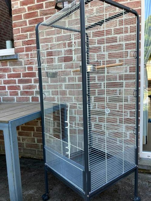 PAPEGAAIENKOOI - VALKPARKIETEN KOOI NU 120 EURO, Dieren en Toebehoren, Vogels | Hokken en Kooien, Zo goed als nieuw, Volière, Metaal