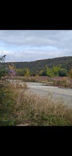 Massage en fonction des besoins  .