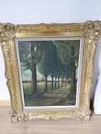 schilderij in mooie vergulde omlijsting, Antiek en Kunst, Ophalen