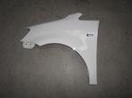 SPATBORD LINKS VOOR Volkswagen Caddy III (2KA,2KH,2CA,2CH), Gebruikt, Links, Volkswagen, Spatbord