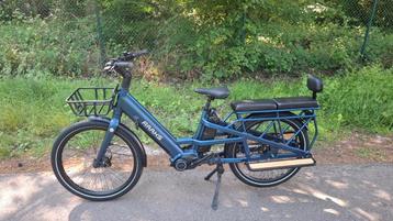 Raaks docker hybrid longtail te koop, Ophalen, Dubbele standaard