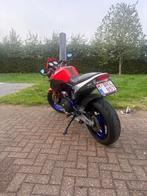 Buell x1 lighting, Motoren, Motoren | Buell, 2 cilinders, Sportuitlaat, Motorrijbewijs A, Particulier