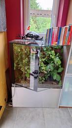 Vivarium, Ophalen, Gebruikt, Terrarium of Paludarium