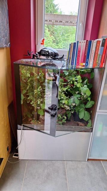 Vivarium beschikbaar voor biedingen