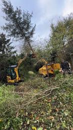 Vellen van bomen en uitfrezen van stronken, Tuinonderhoud of Snoeiwerk