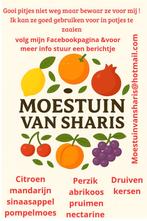 Wie help mee pitjes bewaren voor mij alsjeblieft, Verzenden