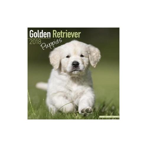 Golden Retriever Puppy-kalender 2018, Diversen, Kalenders, Nieuw, Jaarkalender, Ophalen of Verzenden
