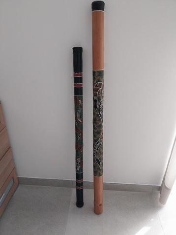 Didgeridoo en regenpijp, Enlèvement