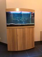 Juwel aquarium, Dieren en Toebehoren, Ophalen