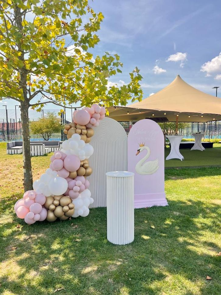 Backdrop - Zuilen - Ballonnendecoratie, Hobby en Vrije tijd, Feestartikelen, Zo goed als nieuw, Feestartikel, Ophalen