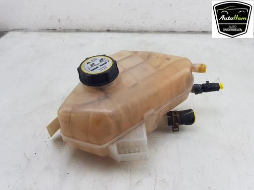 EXPANSIERESERVOIR Ford Fiesta 6 (JA8) (01-2008/01-2018), Auto-onderdelen, Overige Auto-onderdelen, Ford, Gebruikt