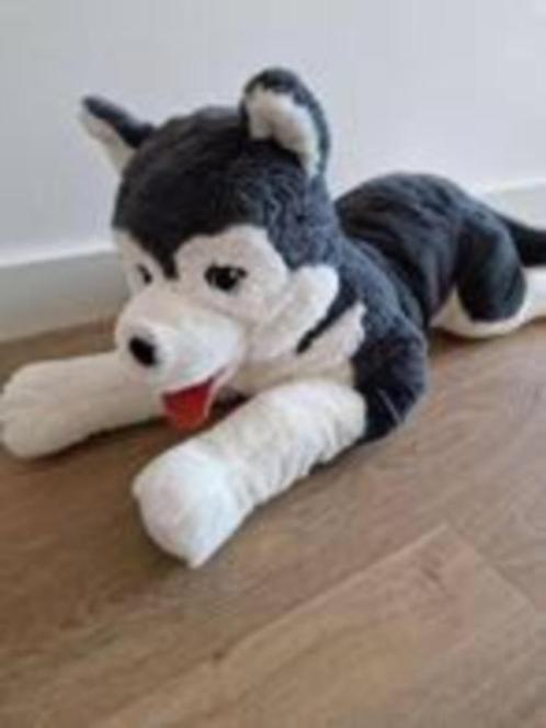 Knuffel Husky hond, Kinderen en Baby's, Speelgoed | Knuffels en Pluche, Zo goed als nieuw, Hond, Ophalen of Verzenden