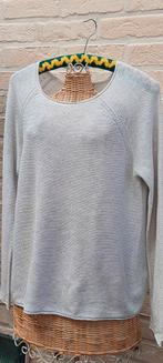 Trui maat m tommy hilfiger, Kleding | Dames, Truien en Vesten, Maat 38/40 (M), Overige kleuren, Ophalen of Verzenden, Zo goed als nieuw