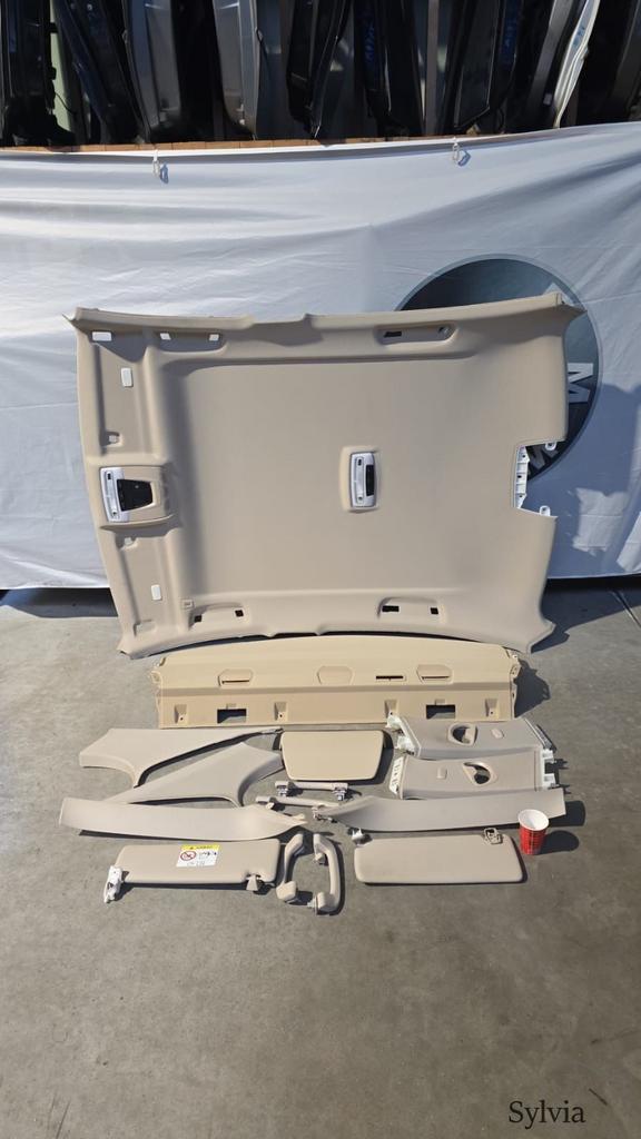 Dakhemel hemelbekleding en hoedenplank beige BMW 3 serie F30, Auto-onderdelen, Interieur en Bekleding, Gebruikt, Ophalen of Verzenden