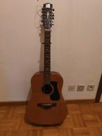 Kasuga T20 12 string Gitaar, Ophalen