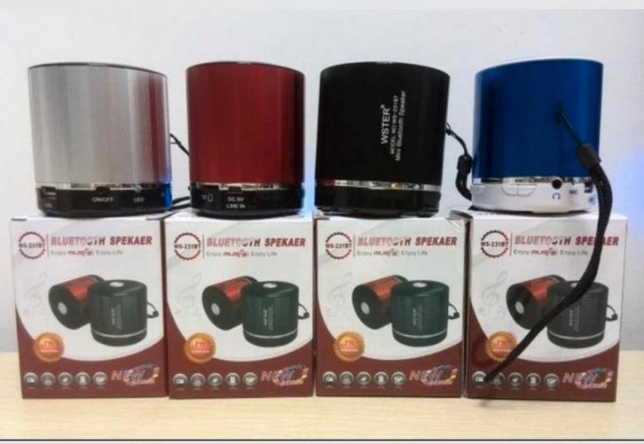 Enceinte portable WSTER WS-231BT MP3, FM, USB, Bluetooth, TV, Hi-fi & Vidéo, Enceintes, Neuf, Haut-parleur central, Enlèvement ou Envoi