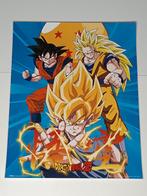 Dragon Ball Z plastic folie poster 40X50, Ophalen of Verzenden, Zo goed als nieuw