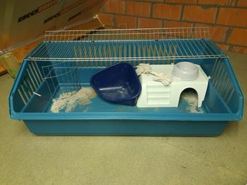 dieren beschikbaar voor biedingen