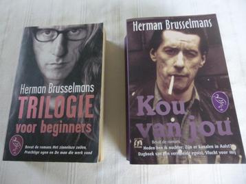 herman brusselmans boeken