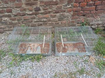 2 cages elevage oiseaux  beschikbaar voor biedingen