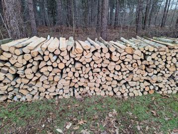 Bois de chauffage, Enlèvement ou Envoi, Bûches, Chêne, 6 m³ ou plus