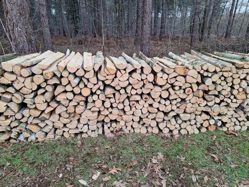 Bois de chauffage, Tuin en Terras, Brandhout, Blokken, Eikenhout, 6 m³ of meer, Ophalen of Verzenden